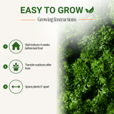 Garden Guru Moss Curled Parsley Seeds 3-Pack - Non-GMO