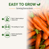 Garden Guru Nantes Carrot Seeds 3-Pack - Non-GMO