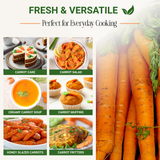 Garden Guru Nantes Carrot Seeds 3-Pack - Non-GMO