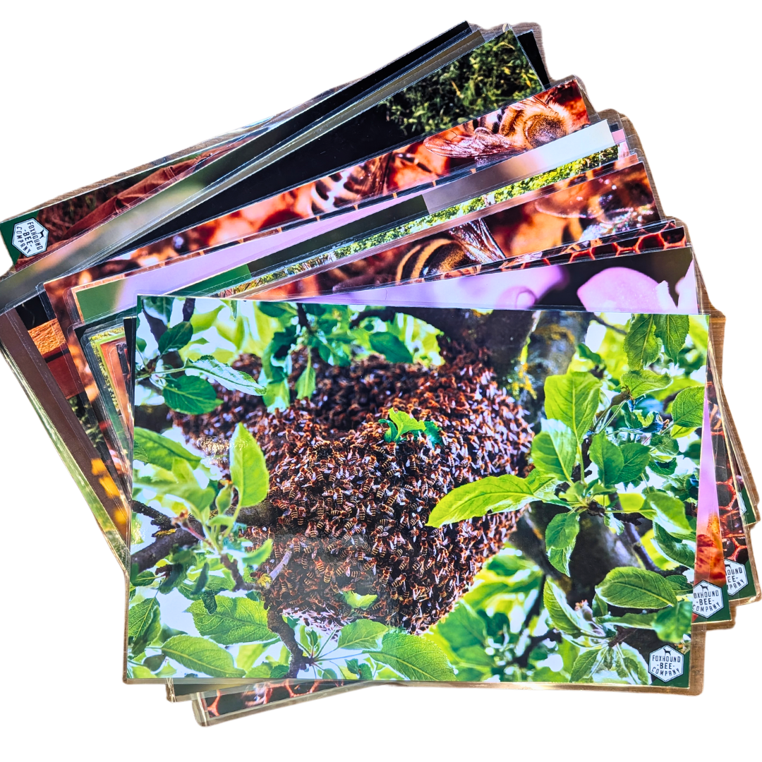 Educational Beekeeping Cards