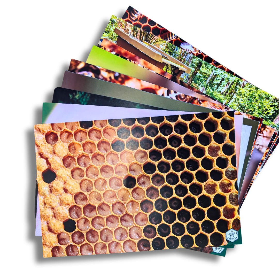 Educational Beekeeping Cards