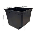 Dutch Bucket