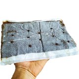 Bee Pro Protein Patties