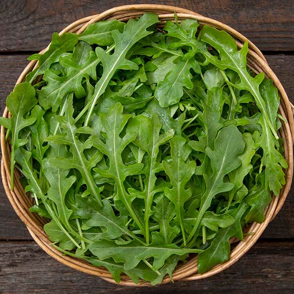 Bellezia Arugula