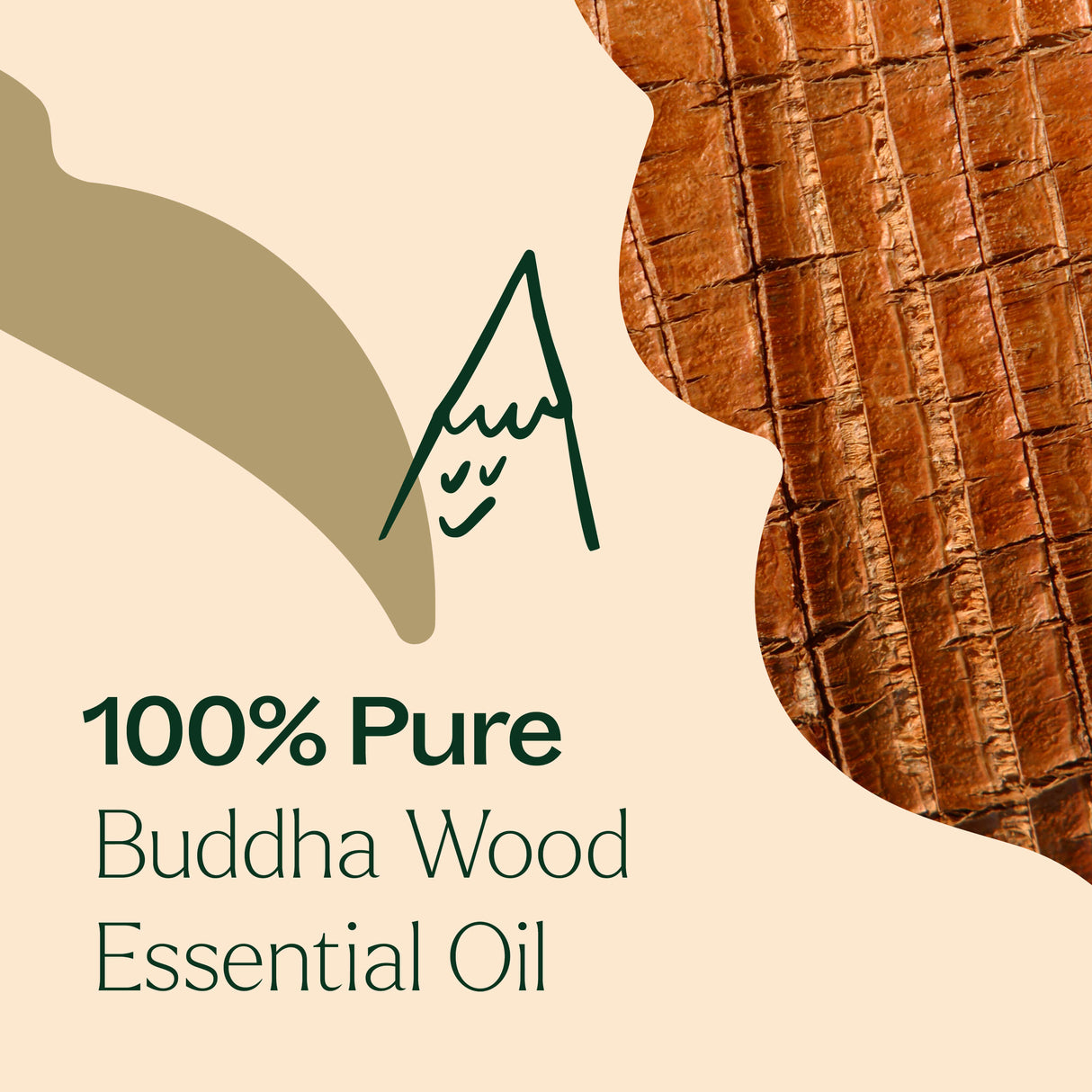 Buddha Wood Essential Oil