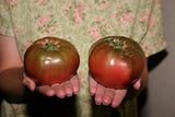 100 Organic PURPLE CHEROKEE TOMATO Lycopersicon Lycopersicum Fruit Vegetable Seeds
