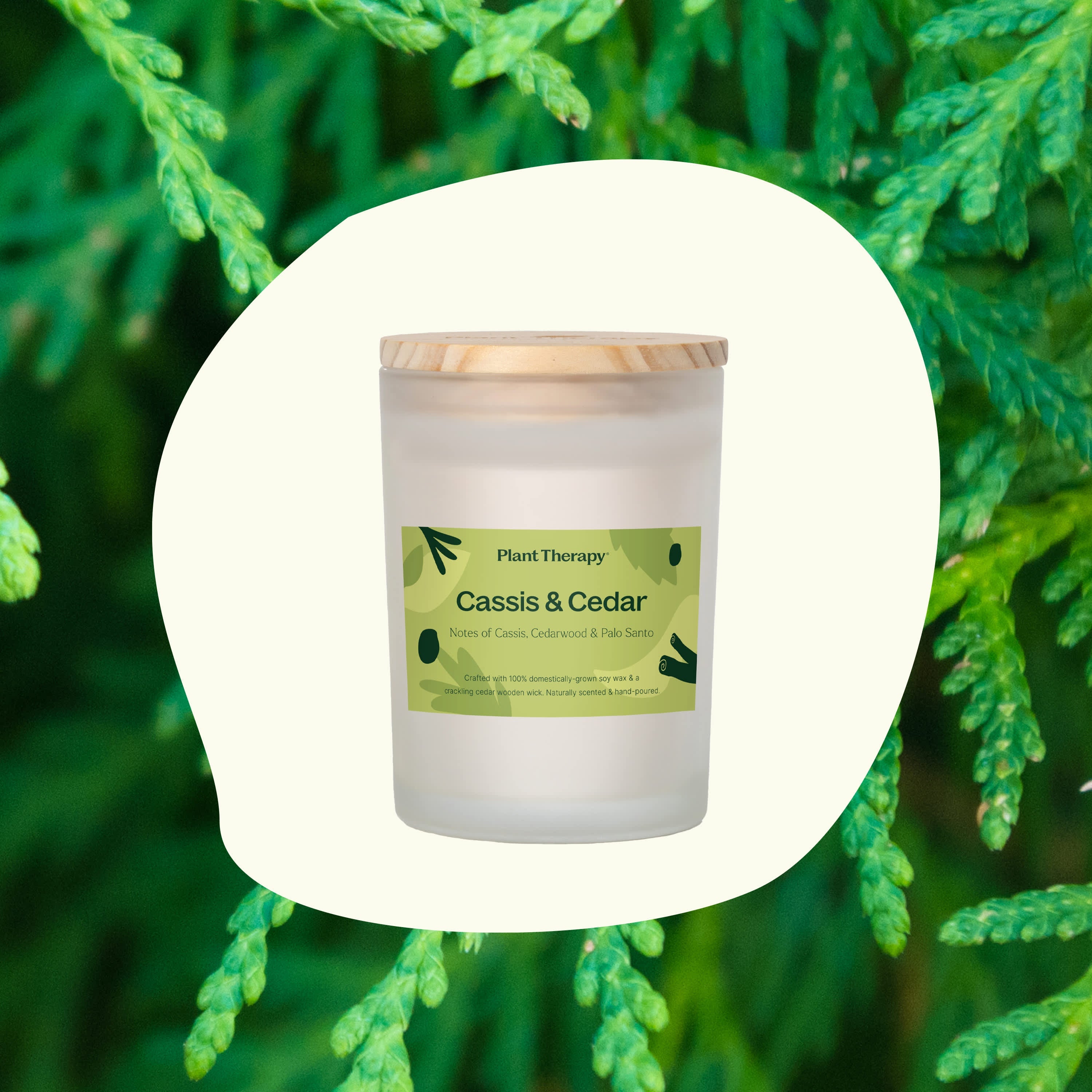 Cassis & Cedar Naturally Scented Candle - Thumbnail 3