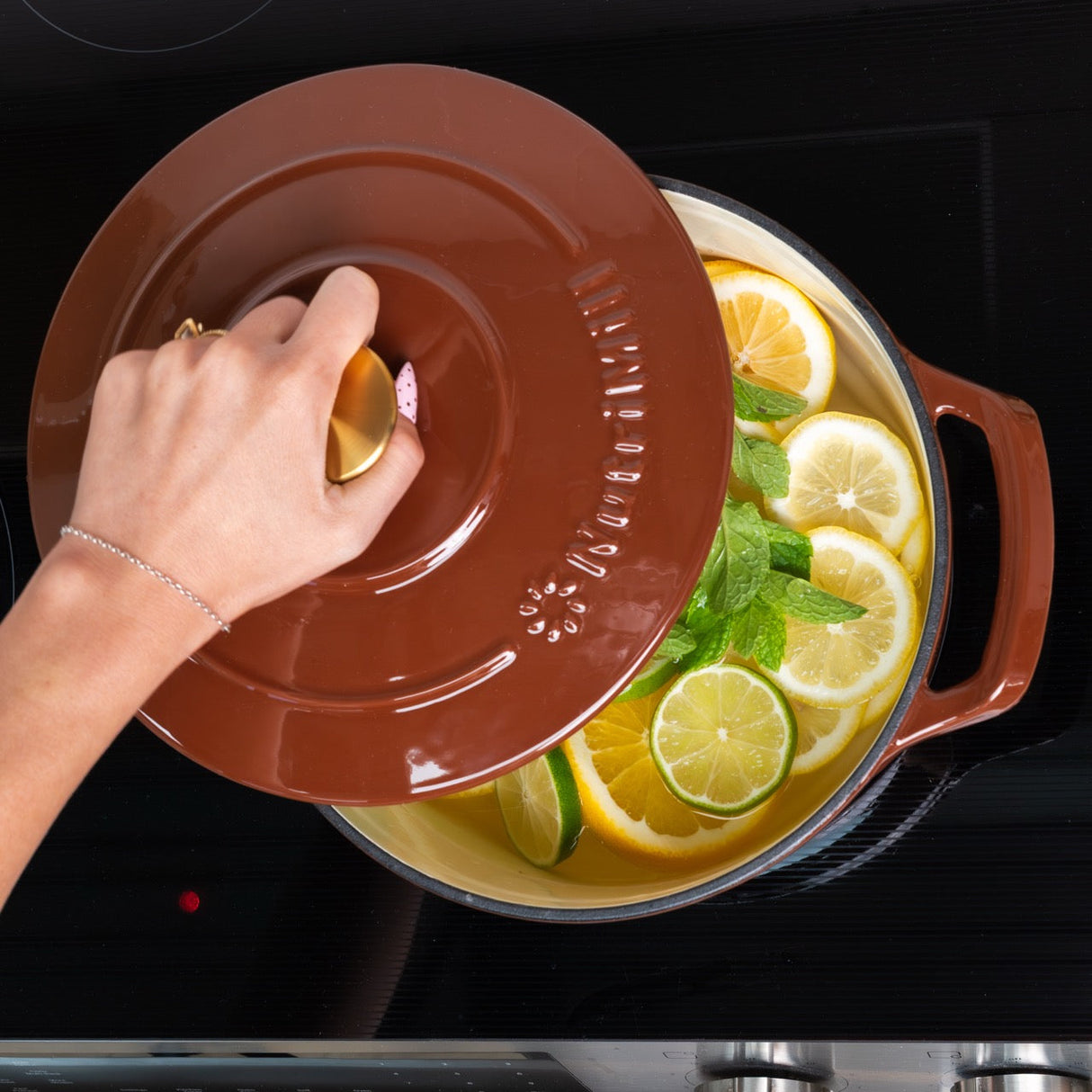 Enameled Cast Iron Dutch Oven