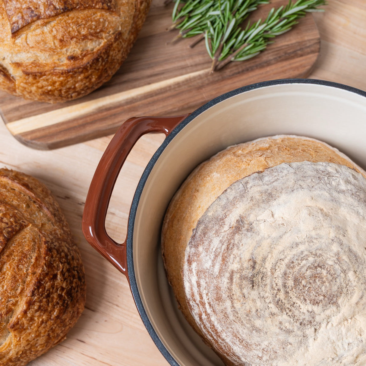Enameled Cast Iron Dutch Oven