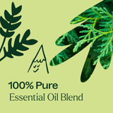 Cedar Forest Essential Oil Blend