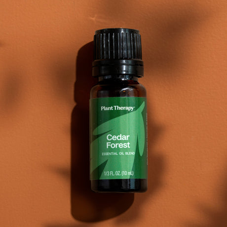 Cedar Forest Essential Oil Blend