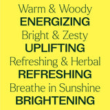 Chasing Sunshine Essential Oil Blend Set