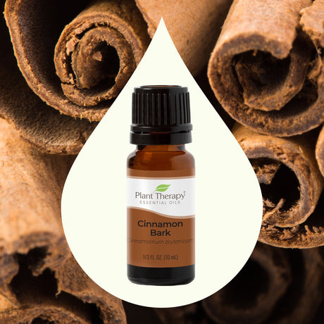 Cinnamon Bark Essential Oil