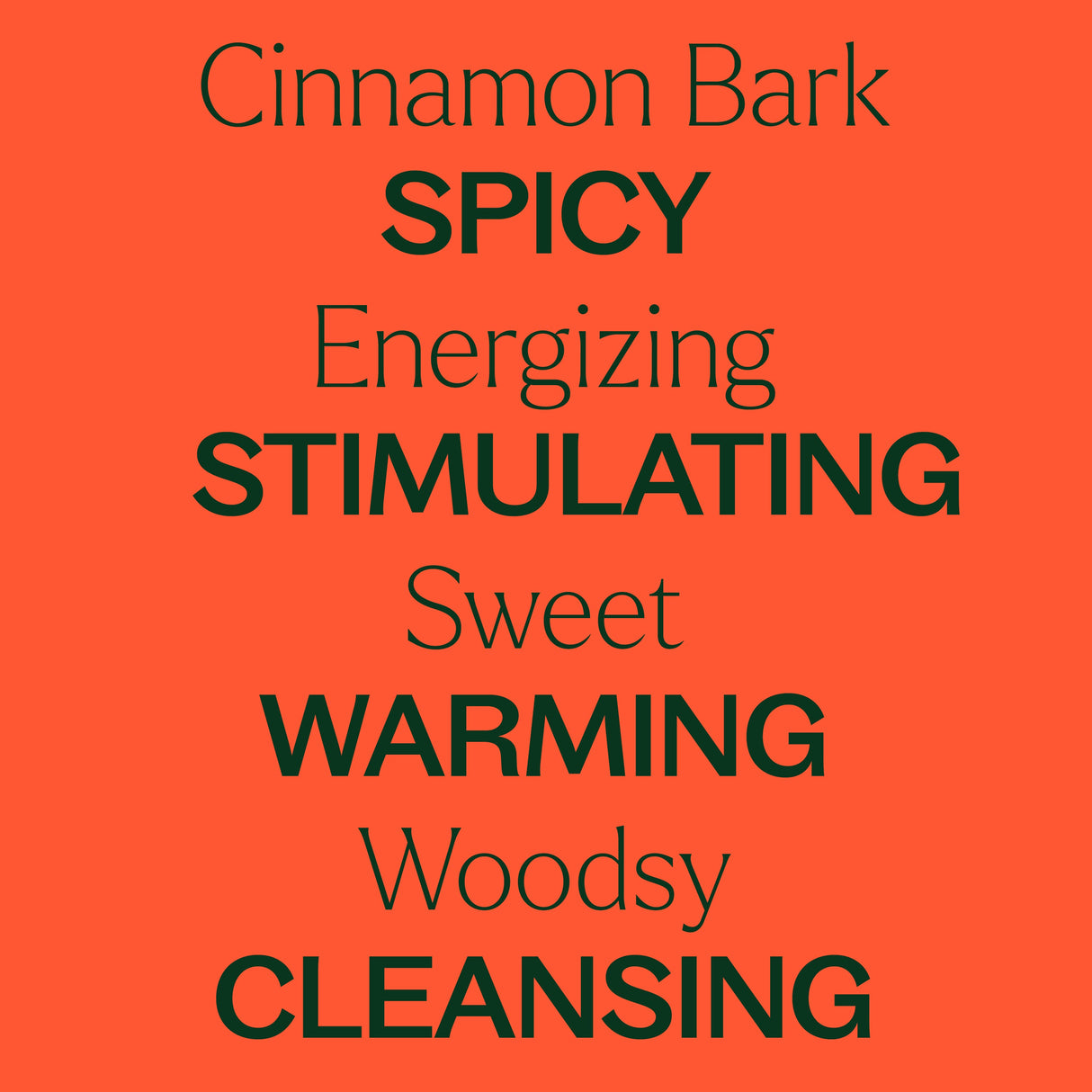 Cinnamon Bark Essential Oil