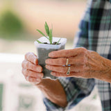 Propagation Kit | For Cuttings, Seedlings and More