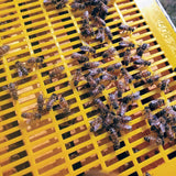 Clearance - Plastic Queen Excluder