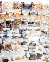 All-In-One Seed Kit