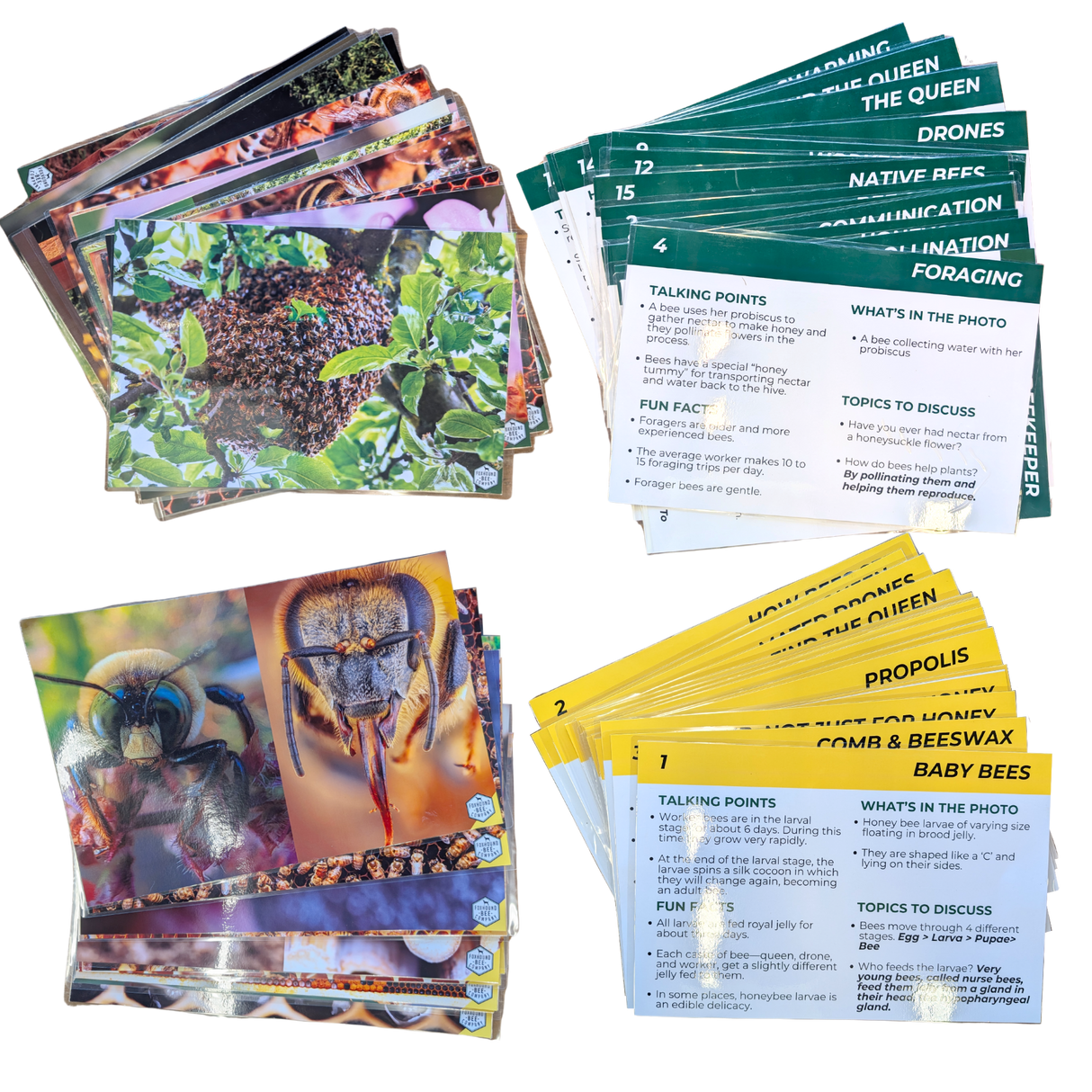 Educational Beekeeping Cards