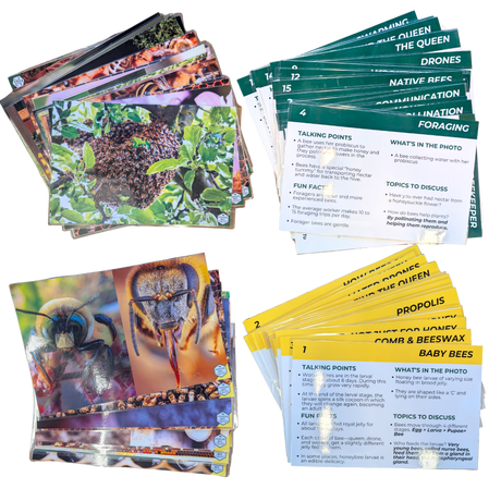 Educational Beekeeping Cards
