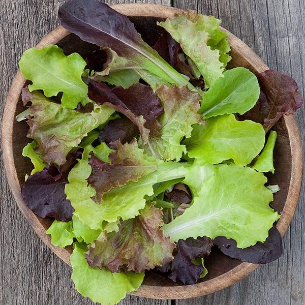 Gourmet Lettuce Blend