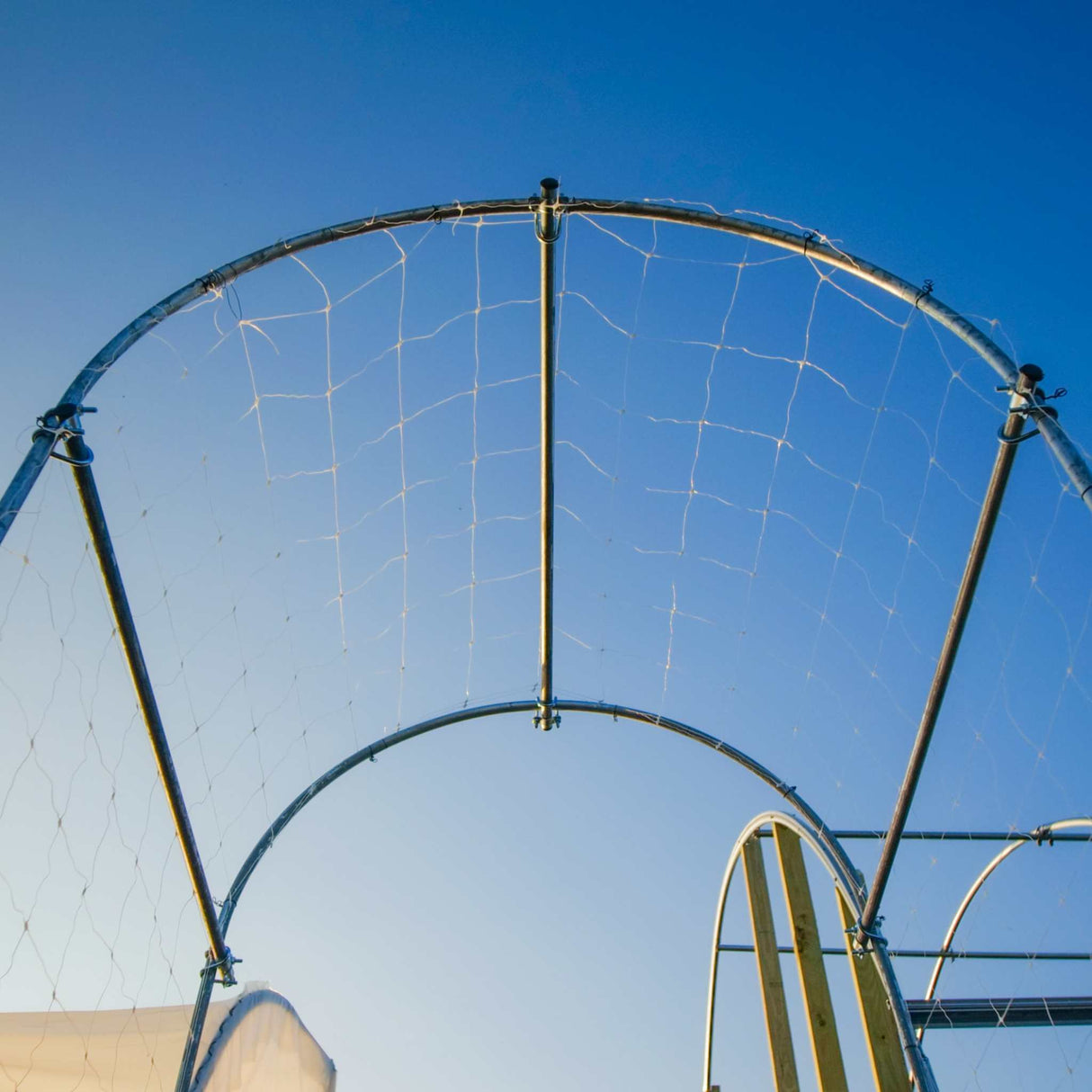DIY Garden Arch
