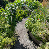 DIY Garden Arch