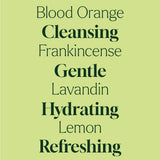 Defender Foaming Hand Soap Refill 1 Gallon