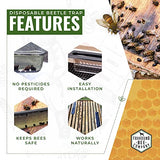 Disposable Small Hive Beetle Trap