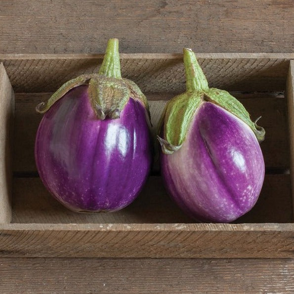 Rosa Bianca Eggplant