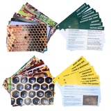Educational Beekeeping Cards