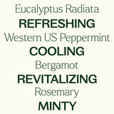 Eucalyptus Mint Essential Oil Blend
