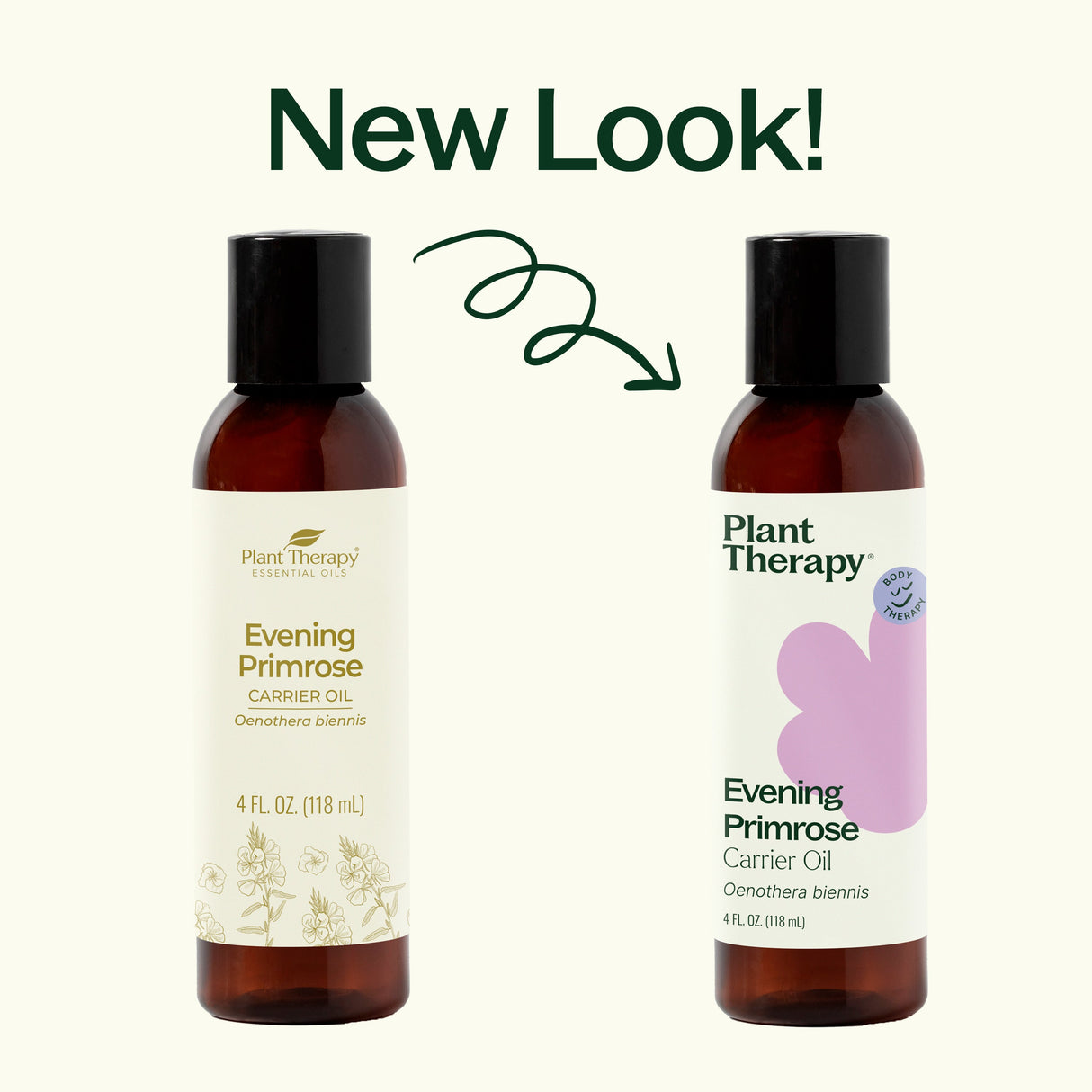 Evening Primrose Carrier Oil
