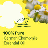 German Chamomile Essential Oil