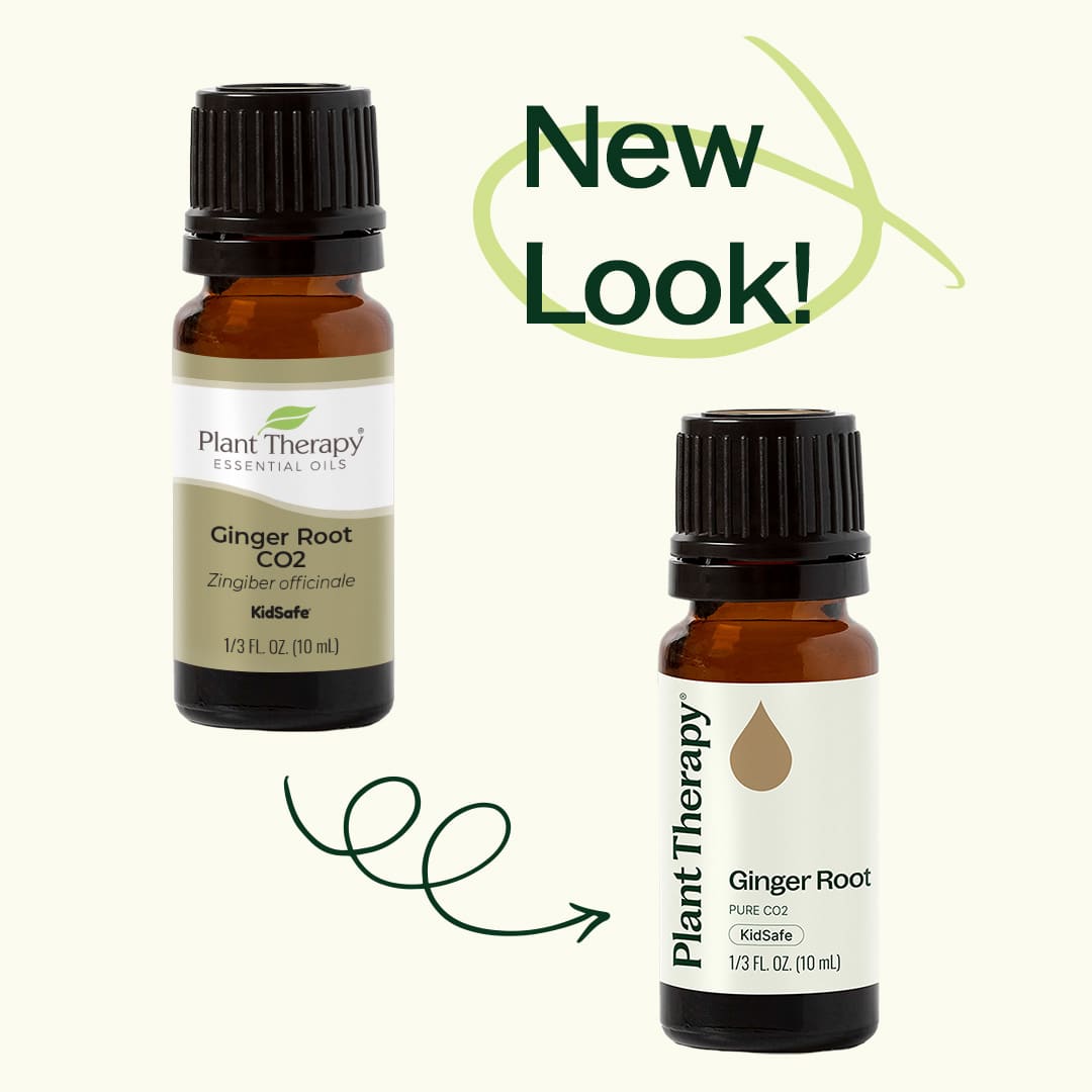 Ginger Root CO2 Extract