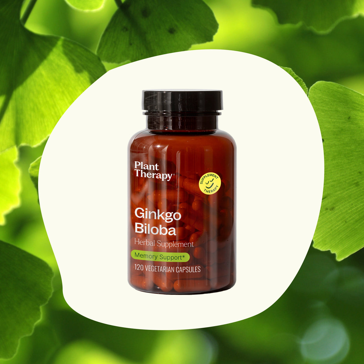 Ginkgo Biloba Herbal Supplement - 120 Capsules