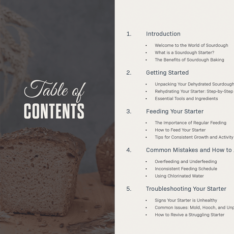 The Ultimate Guide to Taking Care of Your Sourdough Starter - Digital