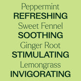 Gut Aid™ Essential Oil Blend Pre-Diluted Roll-On
