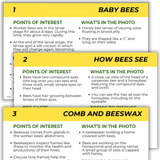 Educational Beekeeping Cards
