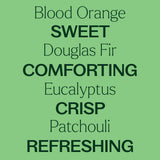 Holly Berries® Essential Oil Blend