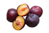 5 AMERICAN PLUM Prunus Americana Red Purple Fruit White Flower Shrub Tree Seeds