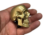 Brass Omni-Mount Colossus Skull by Maratac® 🚨 "Prime" Sale! 🚨