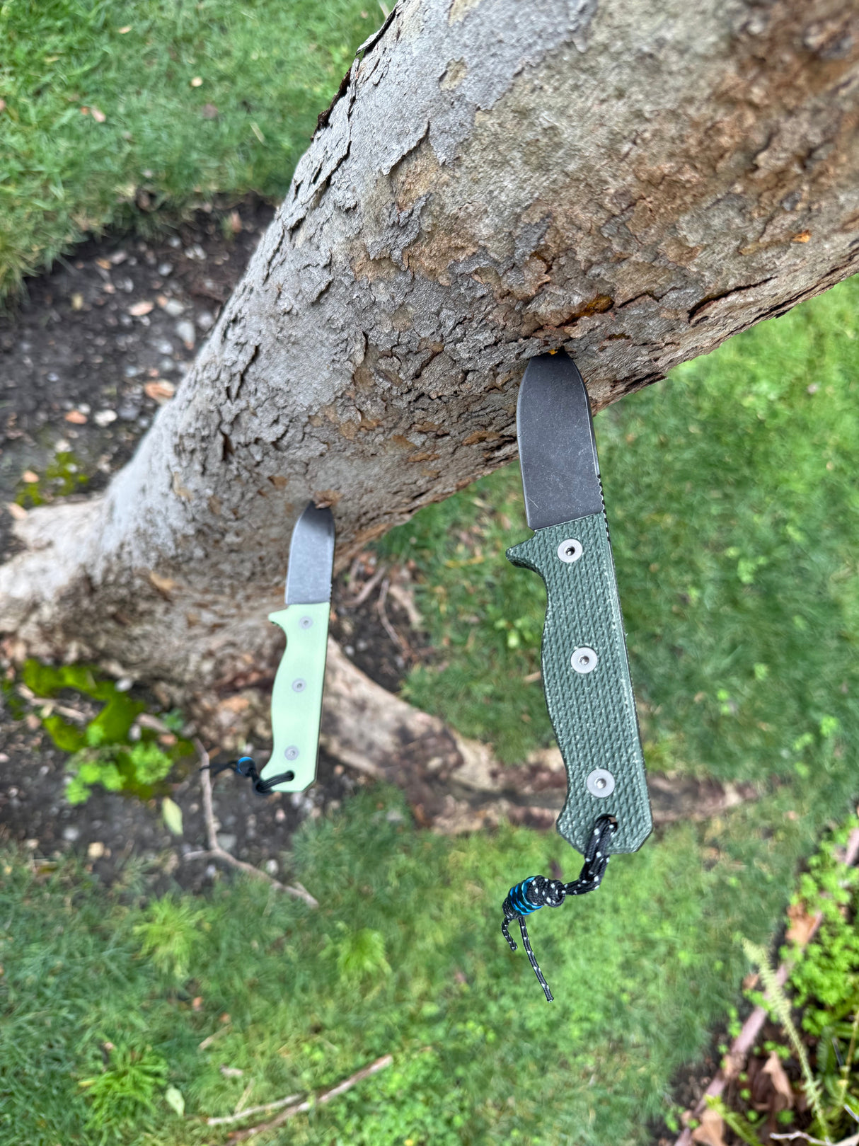 Compact R4A Slim - Ready 4 Action Knife / D2 Fixed Blade ( MICARTA Scales ) 🔥 New 🔥