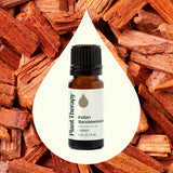 Indian Sandalwood Essential Oil