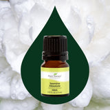 Jasmine Absolute Essential Oil