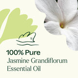 Jasmine Grandiflorum Absolute