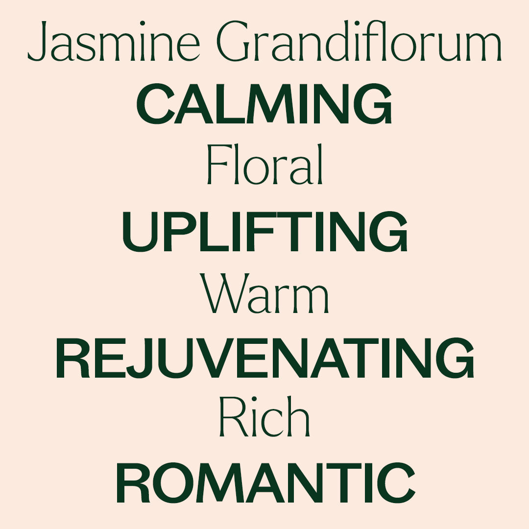 Jasmine Grandiflorum Absolute