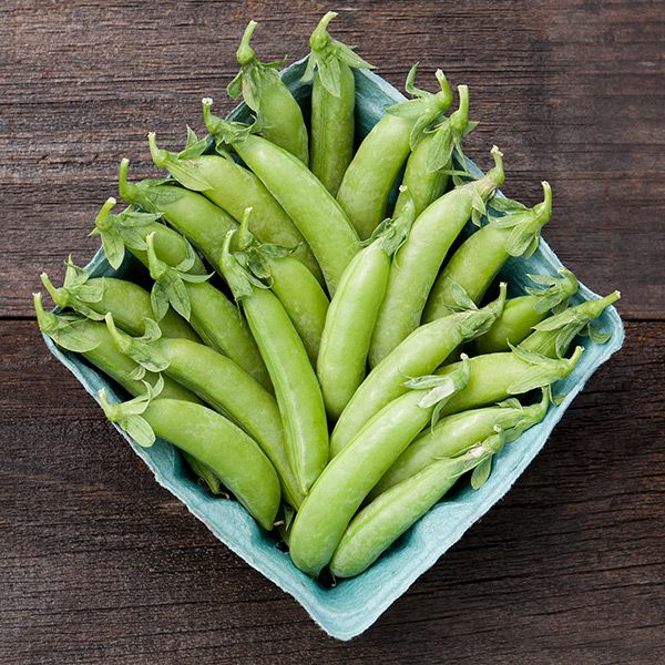 Cascadia Snap Pea