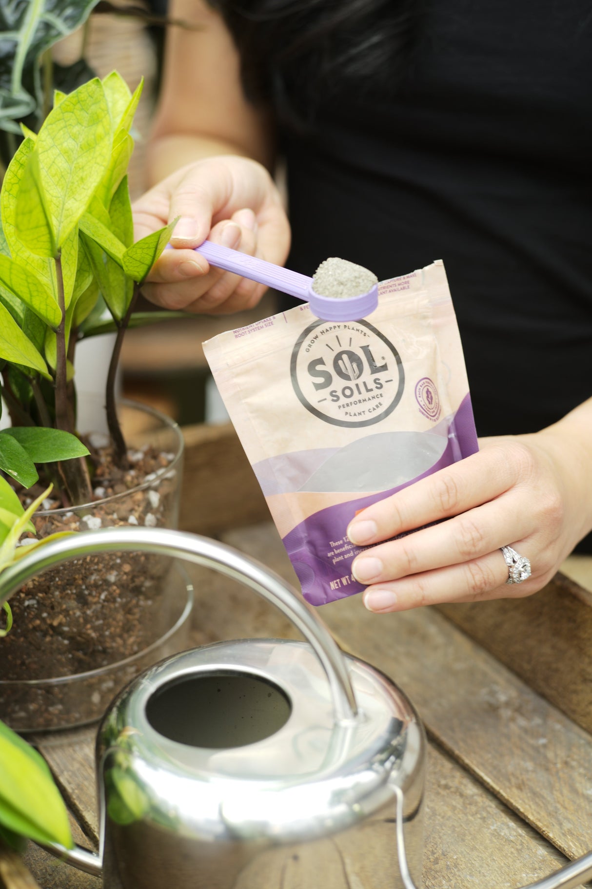 Sol Biotics - Repot Recovery