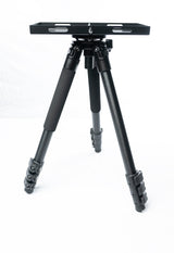 NEW! Original Daddy: OG and Daddy Long Legs Combo