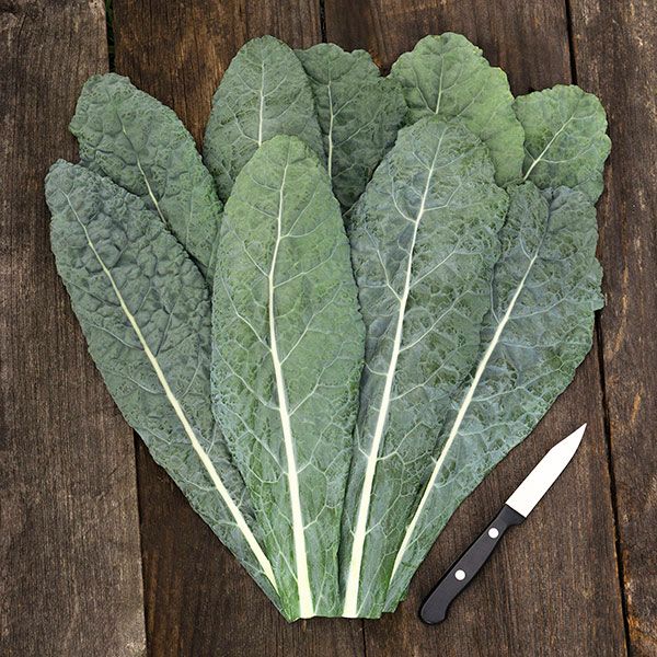 Lacinato Kale